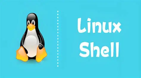 Linux运维，常用自动化shell脚本编写案例